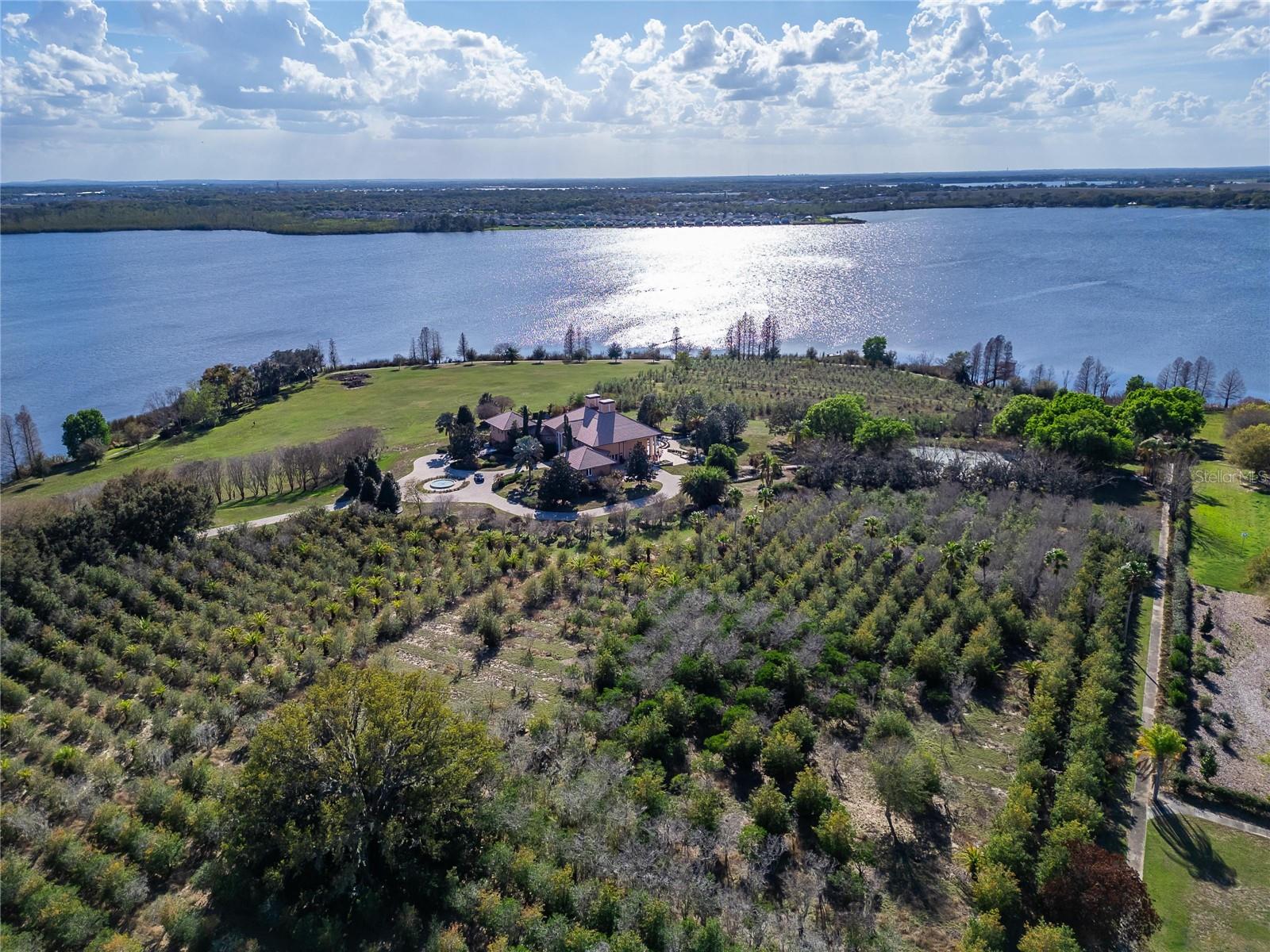Elizabeth Willers, Lakeland Realtor Serhant in Avon Park, FL (6)