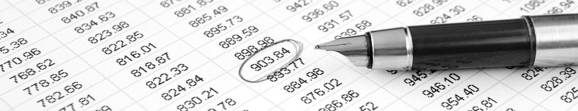 Professional & Tax Services in Rockmart, GA (2)