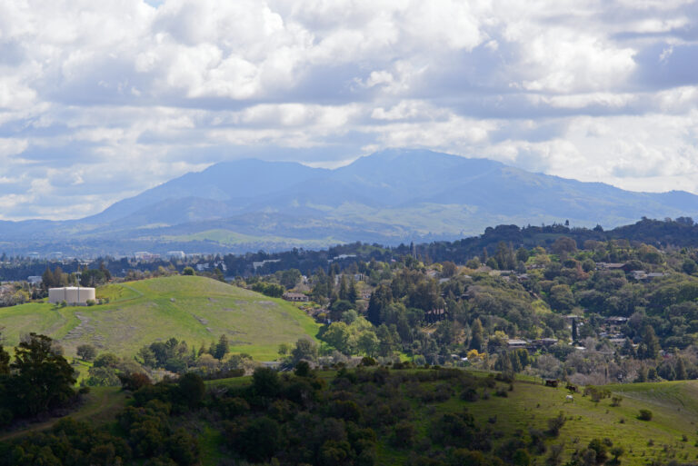 Village Associates Real Estate in Orinda, CA (6)
