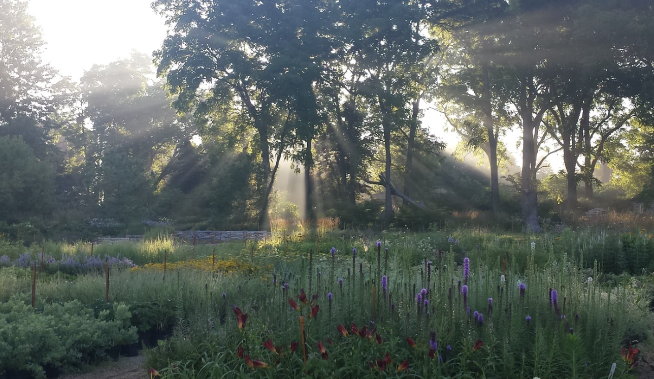 Northwind Perennial Farm in Burlington, WI