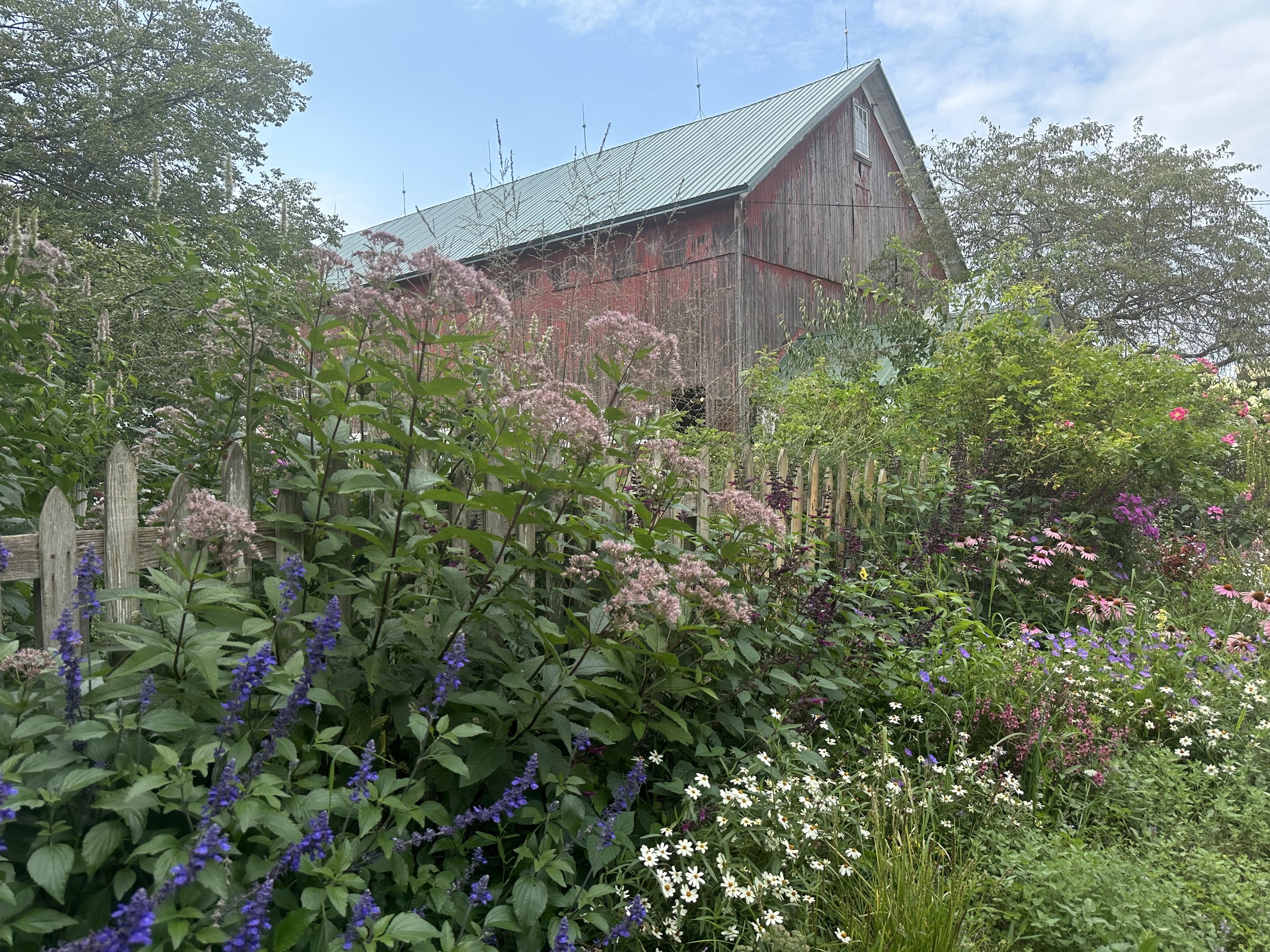 Northwind Perennial Farm in Burlington, WI (3)