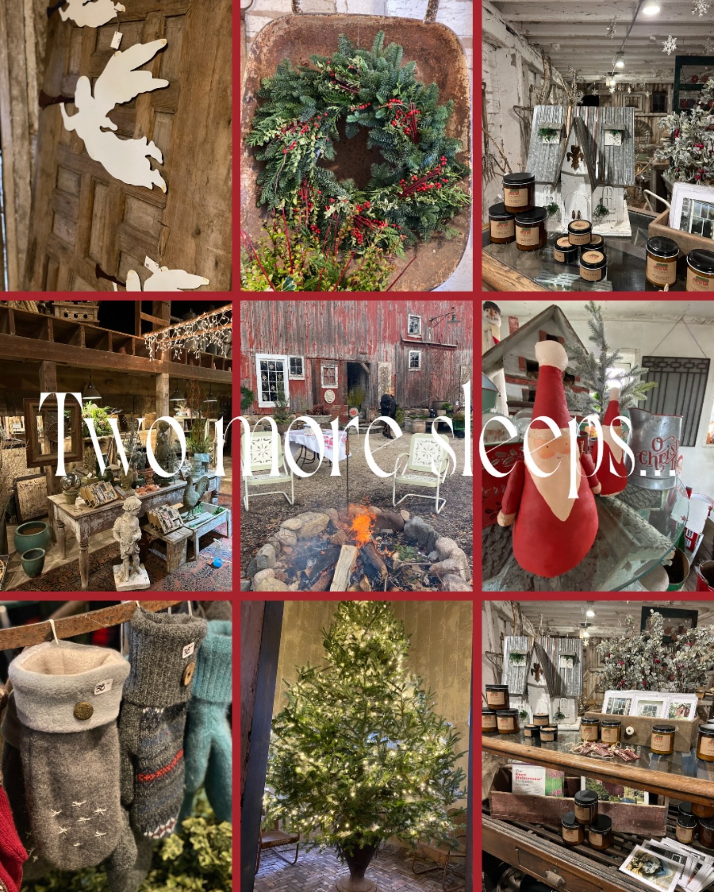 Northwind Perennial Farm in Burlington, WI (4)