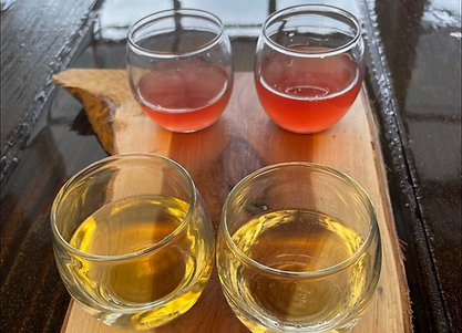 Resolution Winery in Petersburg, VA (3)