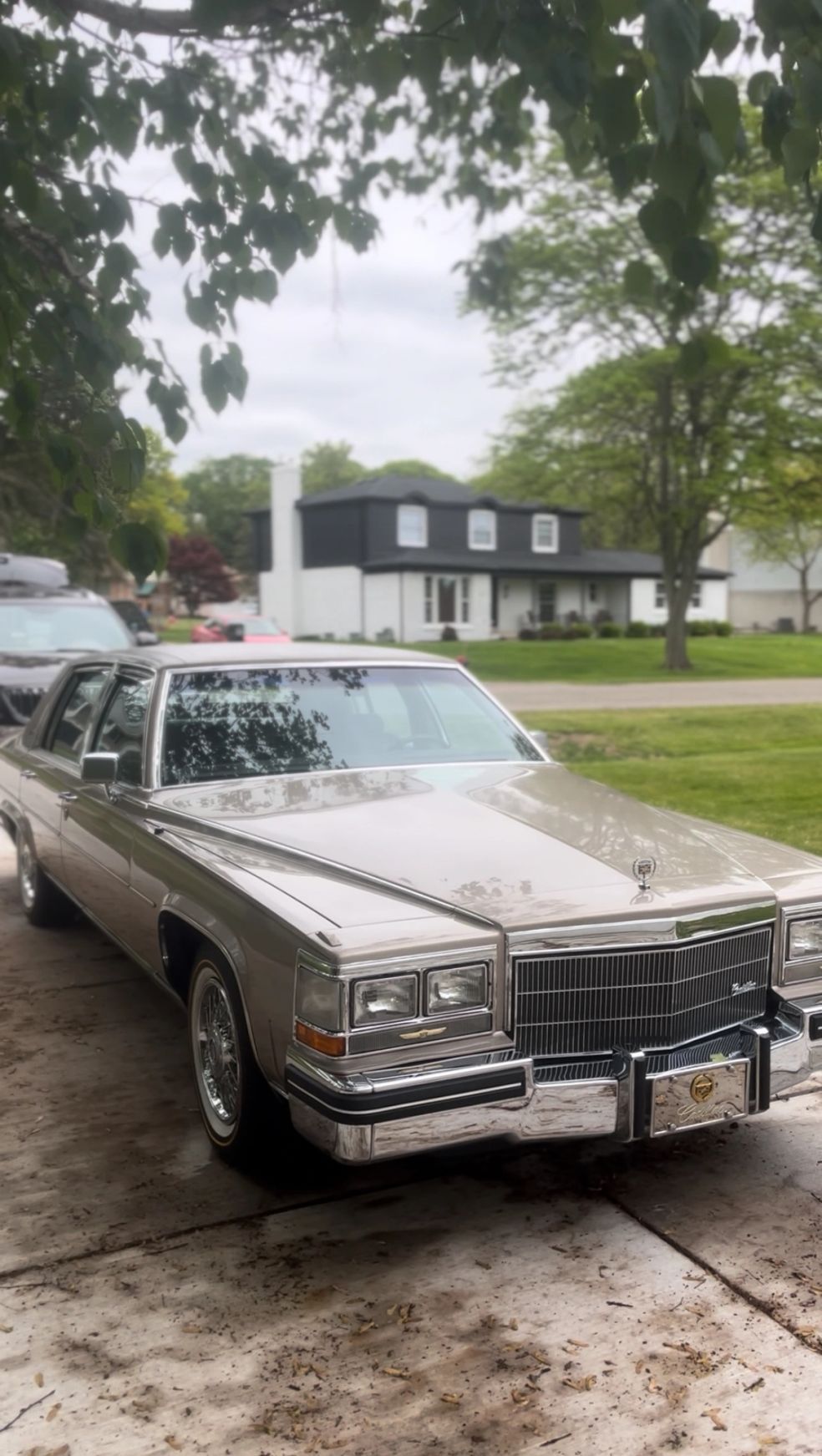 Mr Detailer auto detailing in Fraser, MI