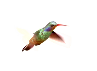 Bombshell Hair & Ink in Benicia, CA (2)