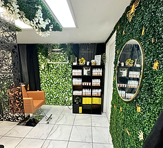 Bee Natural Locks in Tampa, FL (4)
