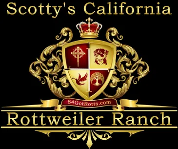 Scotty's California Rottweiler Ranch (84GotRotts) in Big Creek, CA (4)