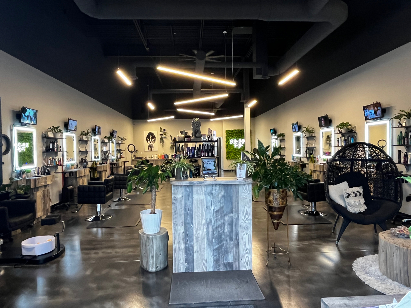 Tangled Mane Hair Studio in Clinton Township, MI