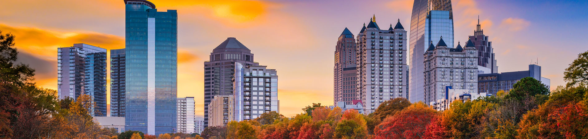 Atlanta Property Professionals in Roswell, GA