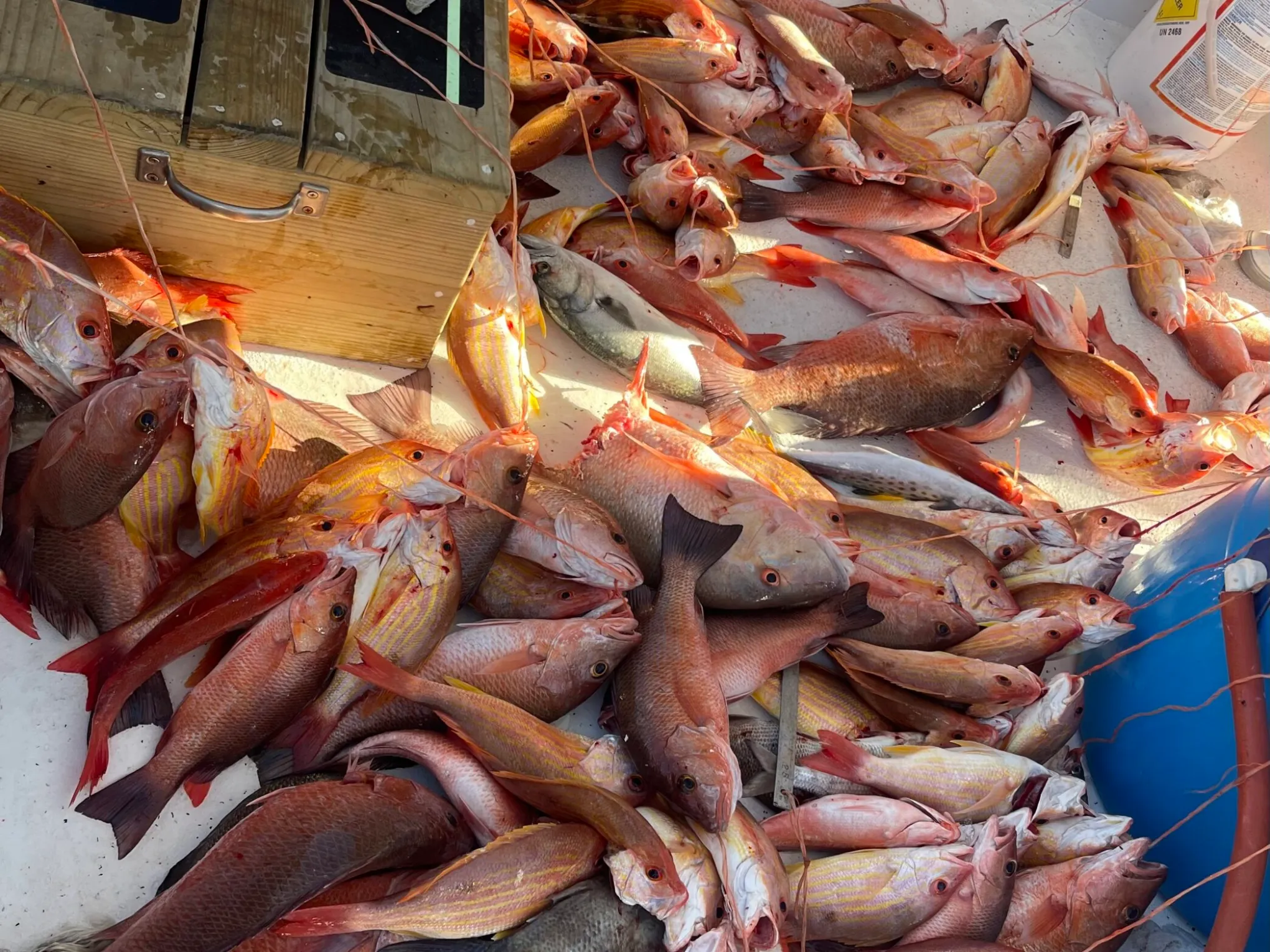 Sea Spirit Deep Sea Fishing Charters in Ponce Inlet, FL (3)
