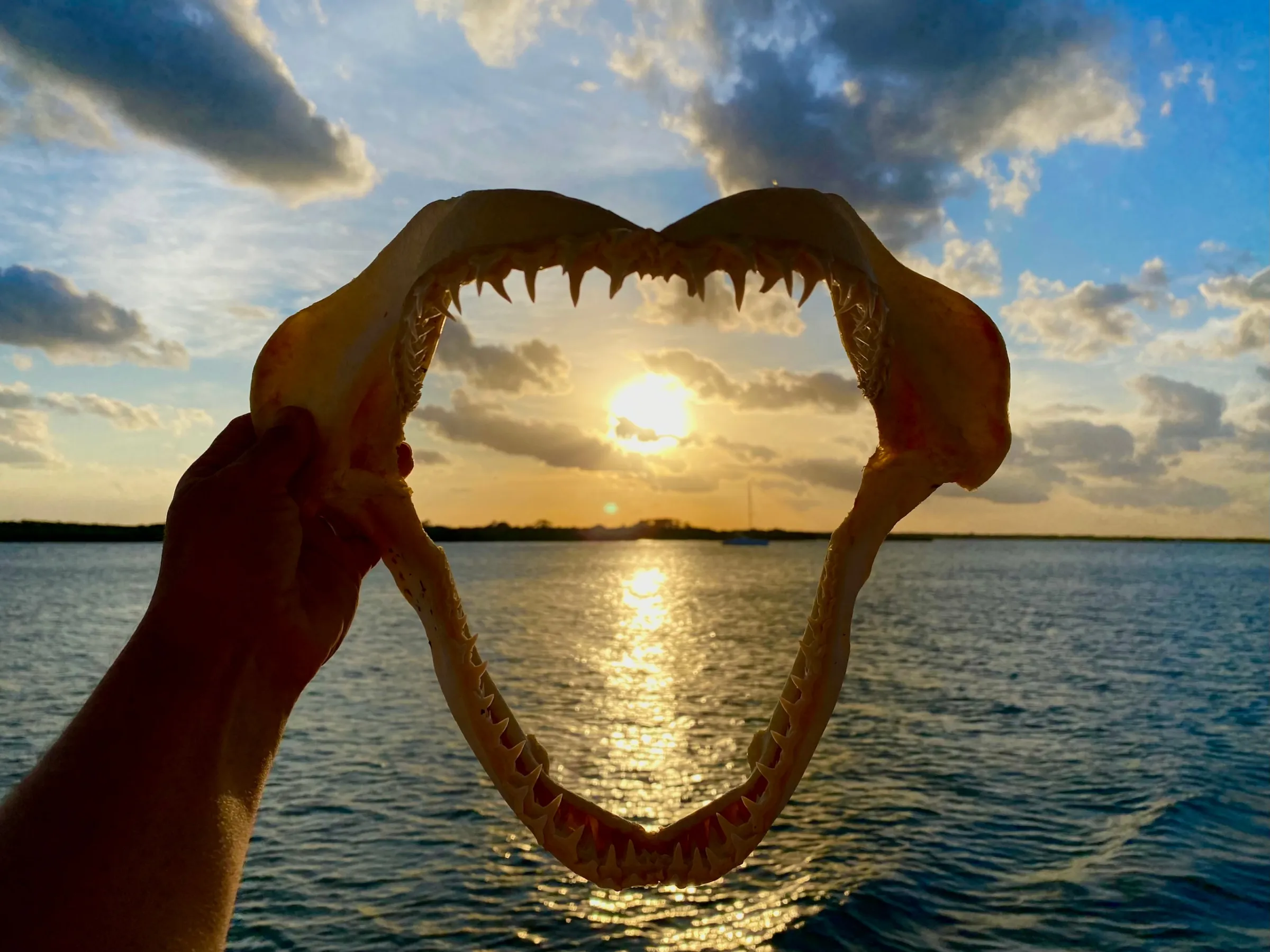 Sea Spirit Deep Sea Fishing Charters in Ponce Inlet, FL (6)