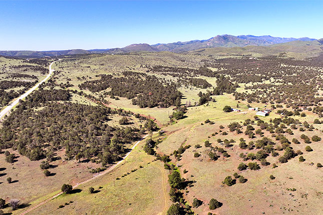 Scott Land Co in Dimmitt, TX