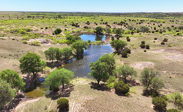 Scott Land Co in Dimmitt, TX (2)