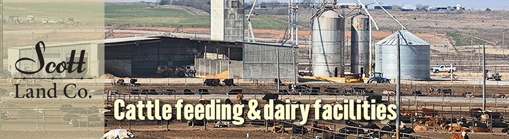 Scott Land Co in Dimmitt, TX (3)