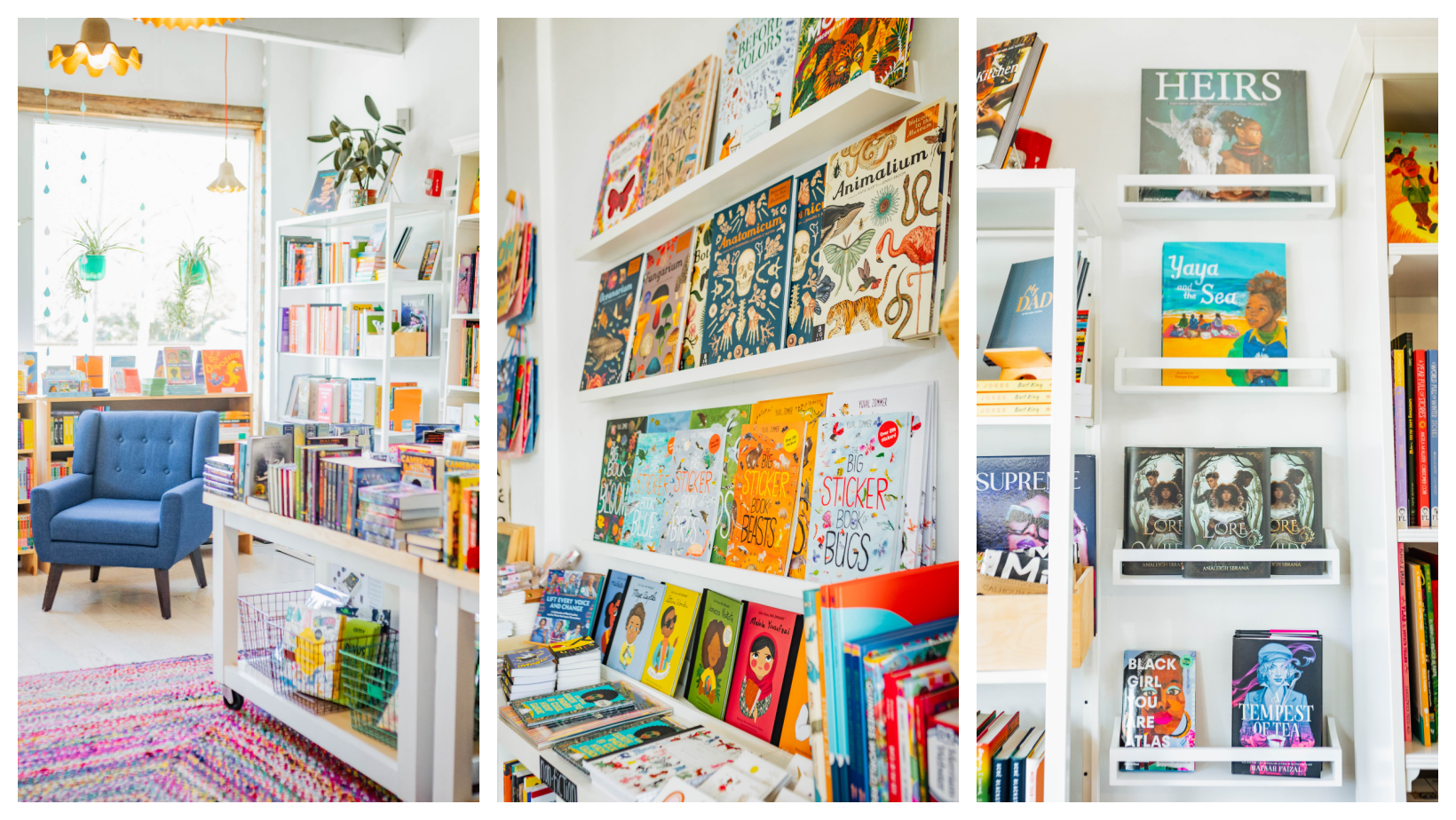 Brave + Kind Bookshop in Decatur, GA