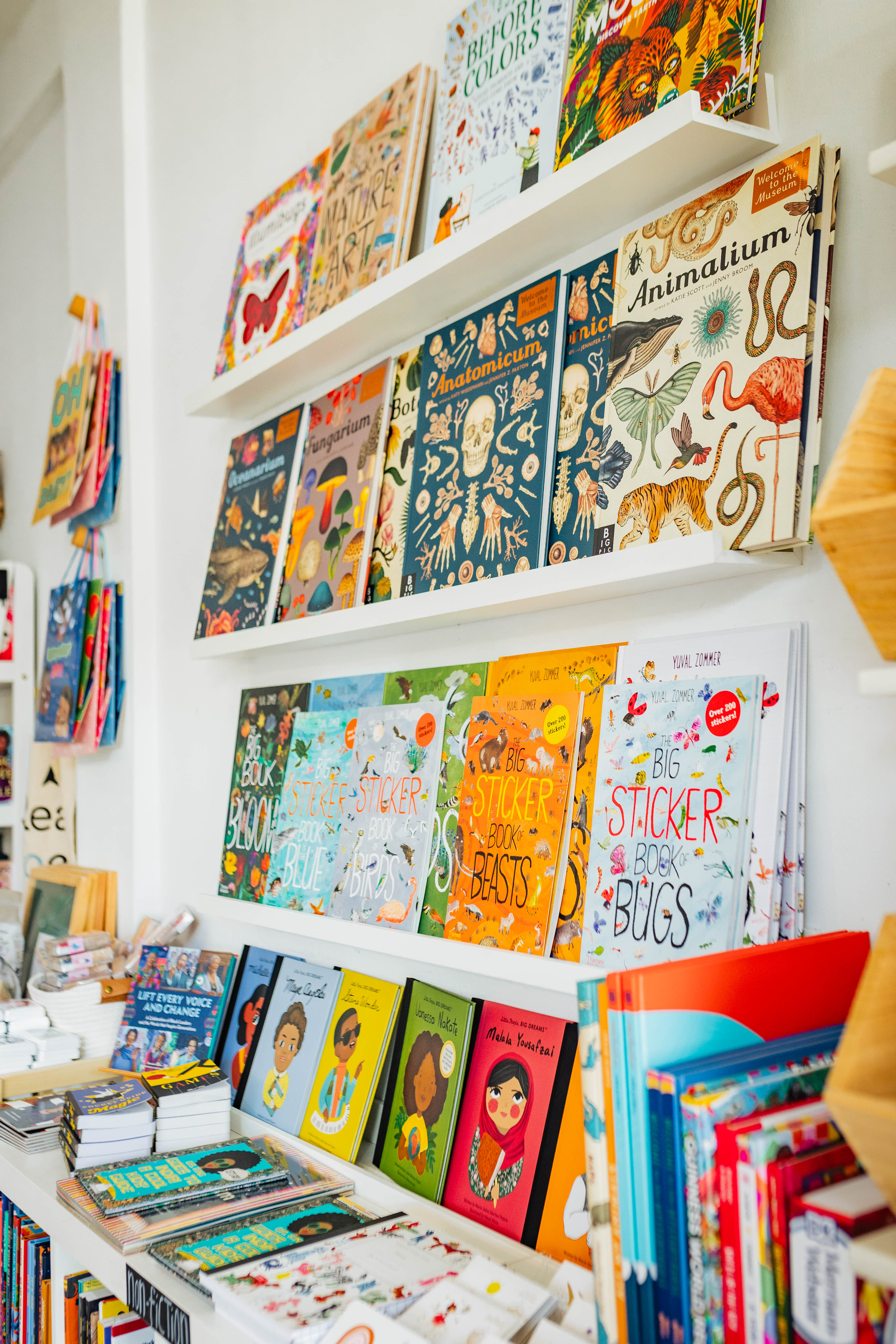 Brave + Kind Bookshop in Decatur, GA (2)