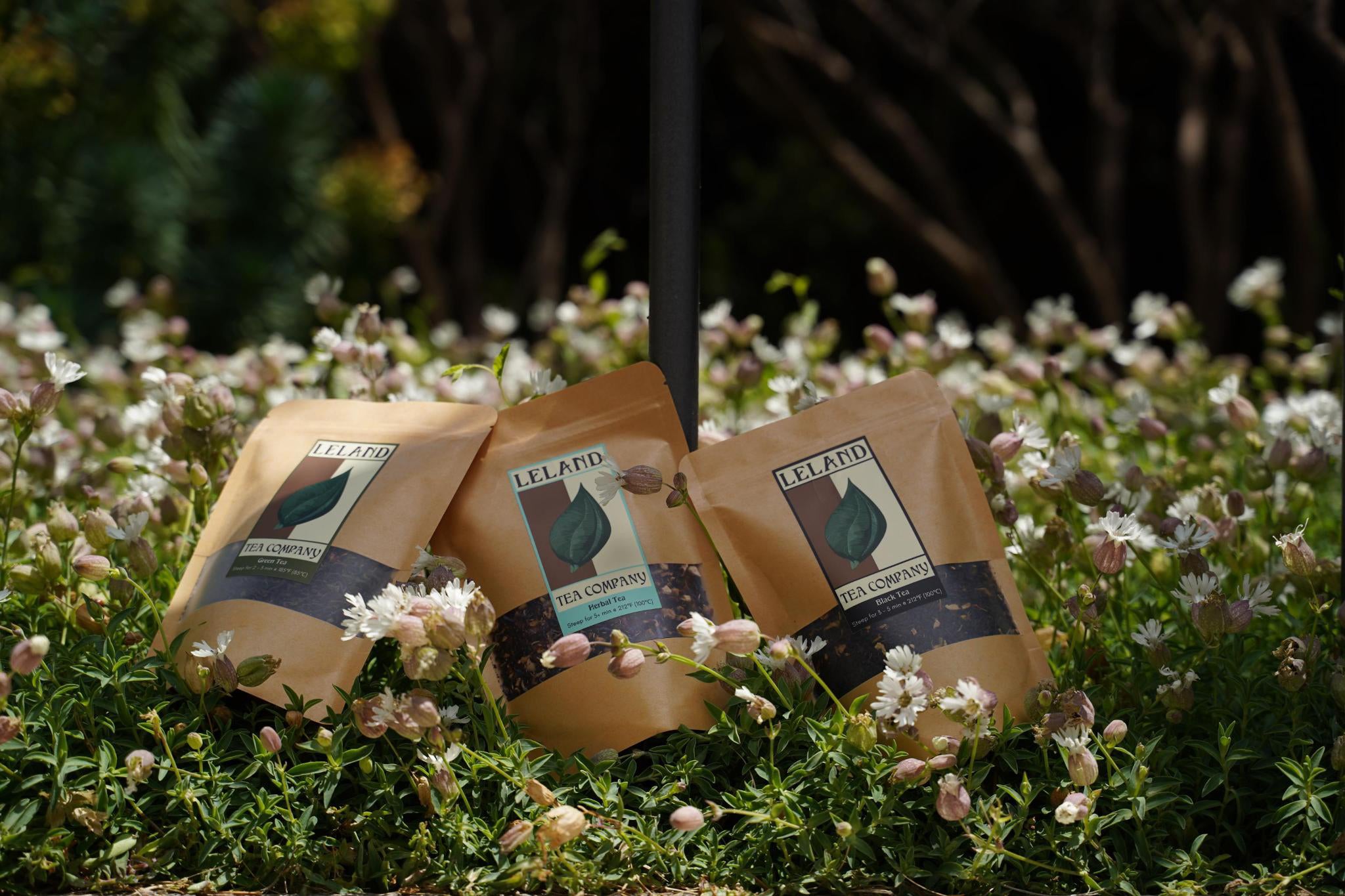 Leland Tea Company in Burlingame, CA (4)