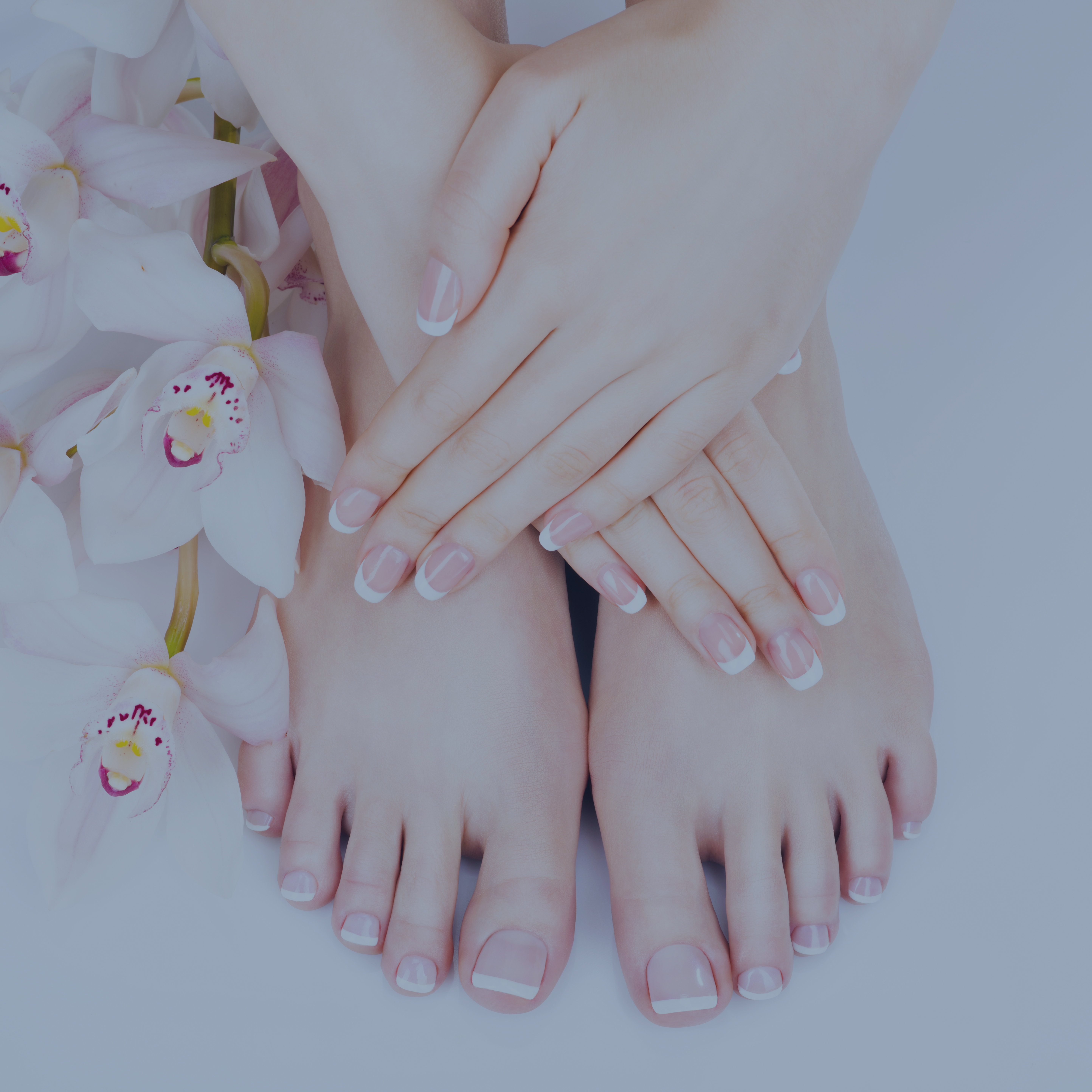 Blue Nails Spa in Sterling Heights, MI