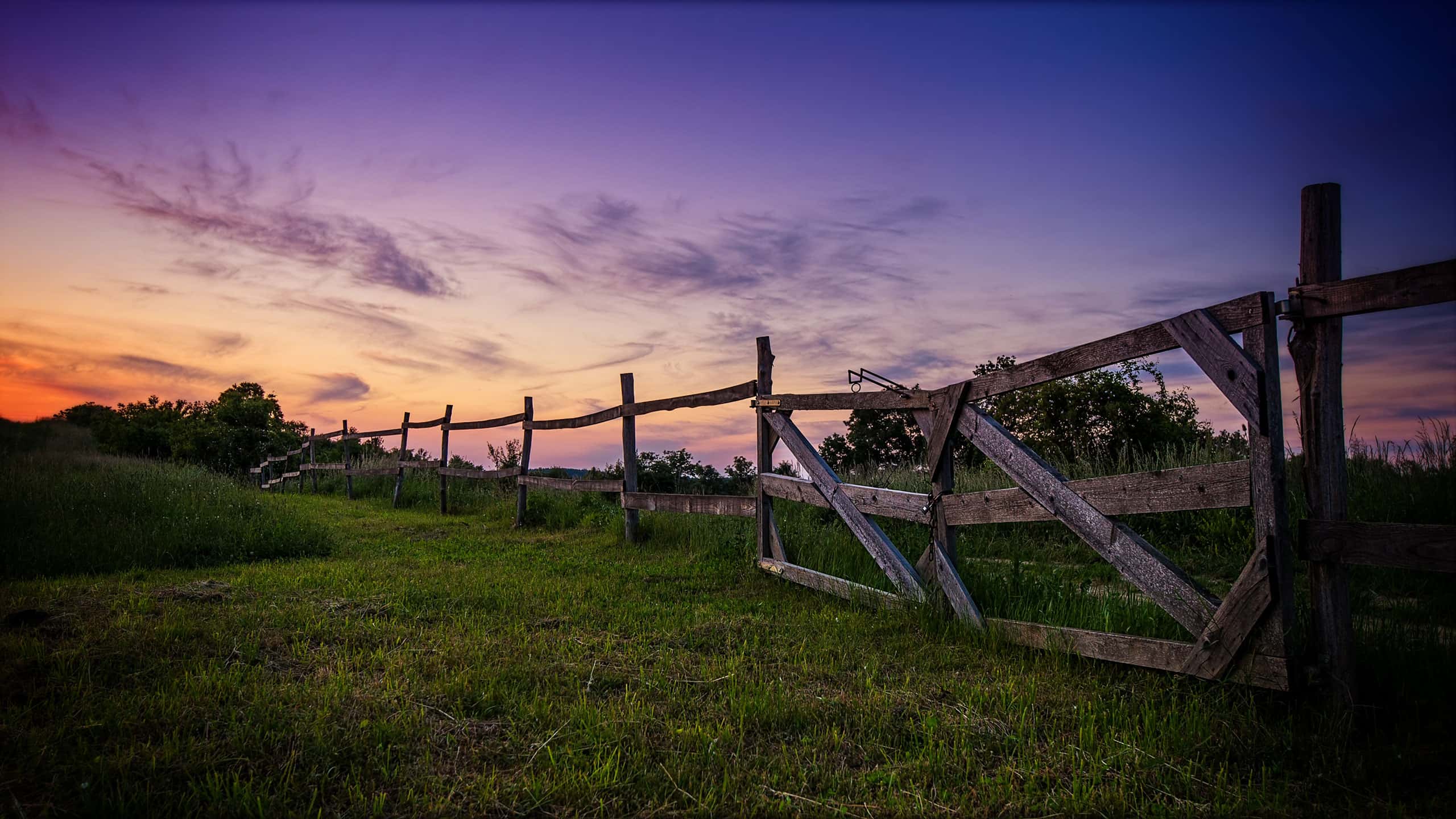 Kelli Kish, Coldwell Banker APEX, Realtors in Abilene, TX (3)