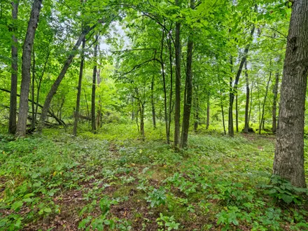 Land & Lakes Realty Group, LLC in West Bend, WI