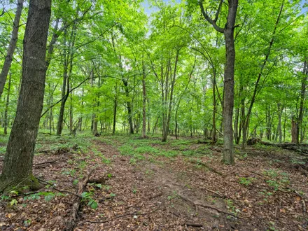 Land & Lakes Realty Group, LLC in West Bend, WI (2)