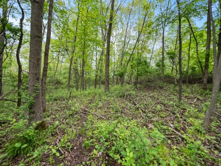Land & Lakes Realty Group, LLC in West Bend, WI (5)