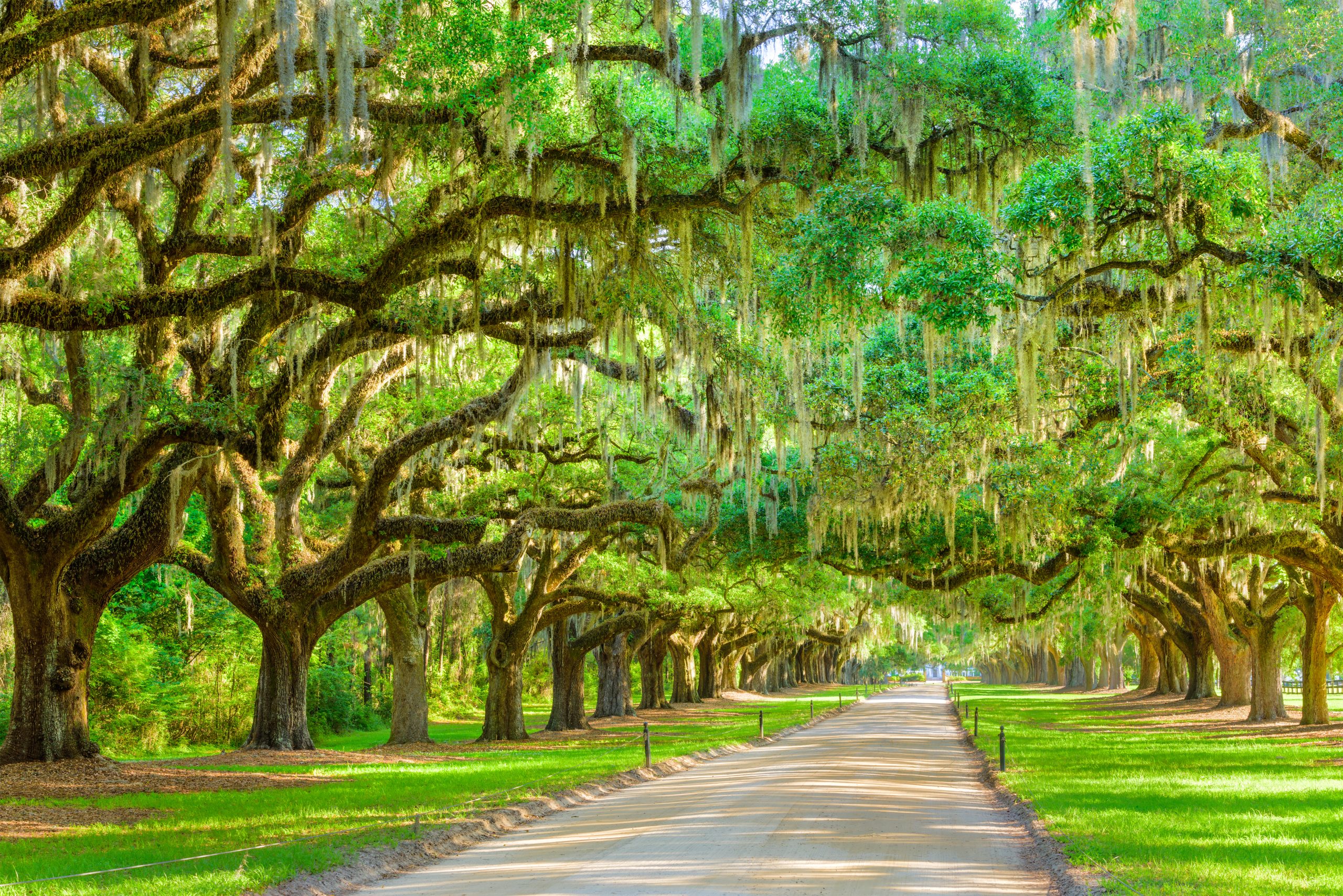 Jeffcoat Criminal Defense Lawyers in Columbia, SC (2)