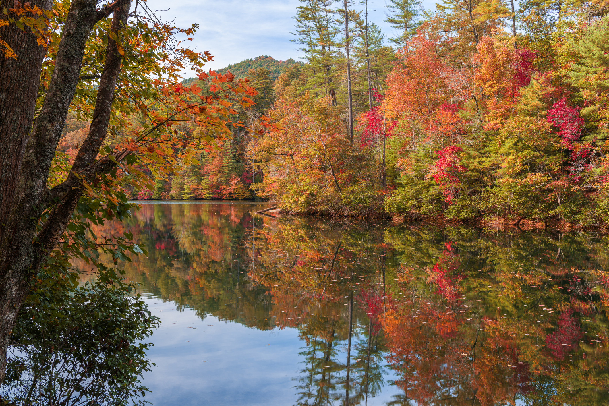 Union Realty in Blairsville, GA