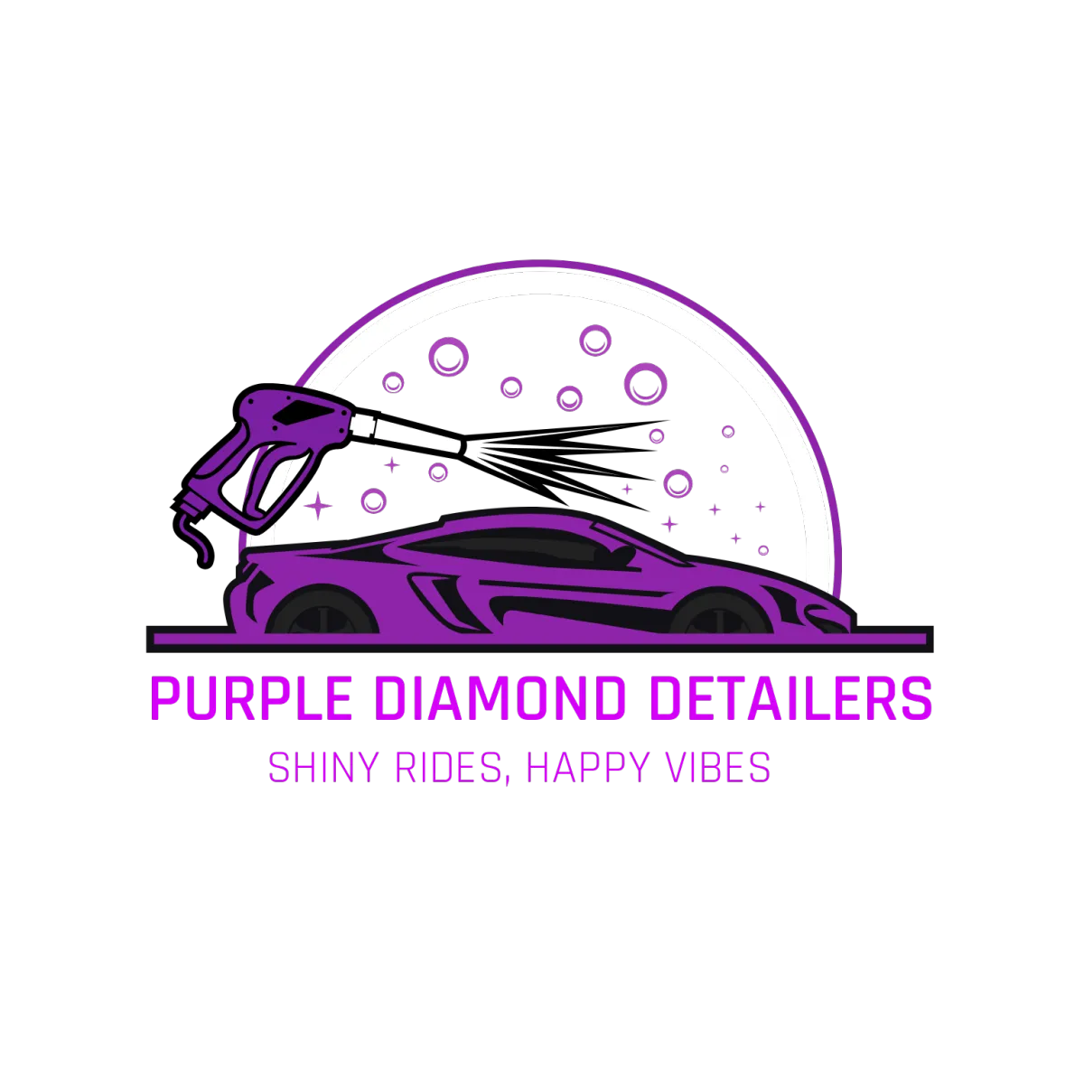 Purple Diamond Detailers LLC in Pine Grove, PA (4)