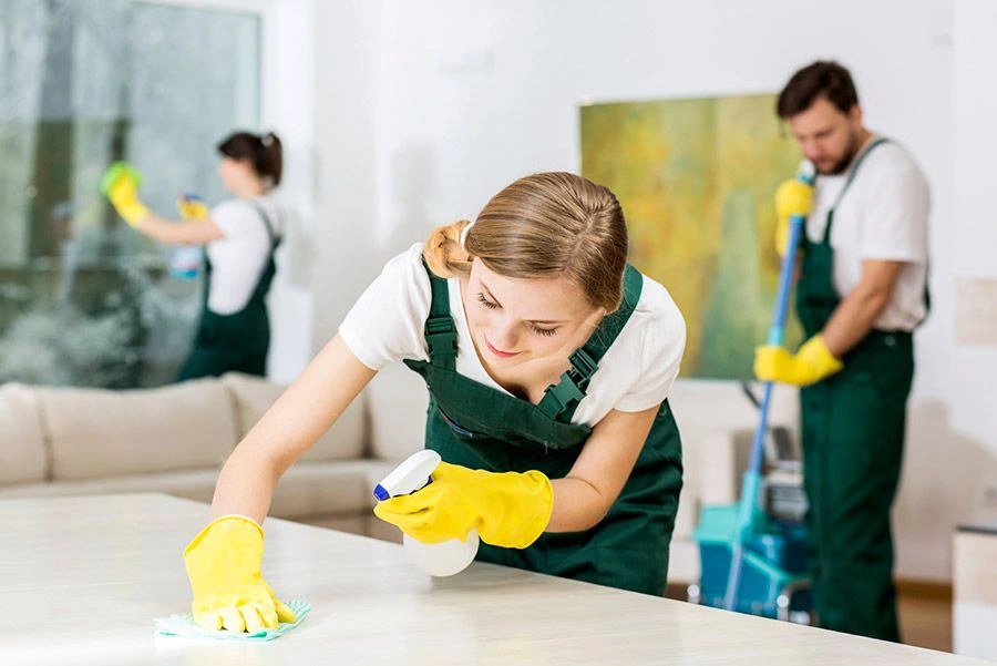 Scrub Perfect Cleaning Services in St. Petersburg, FL (3)