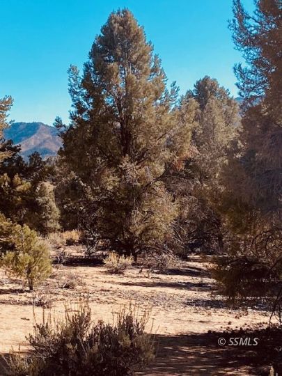 Wilson & Associates Real Estate Services in Ridgecrest, CA