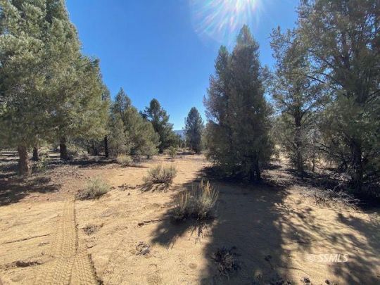Wilson & Associates Real Estate Services in Ridgecrest, CA (3)