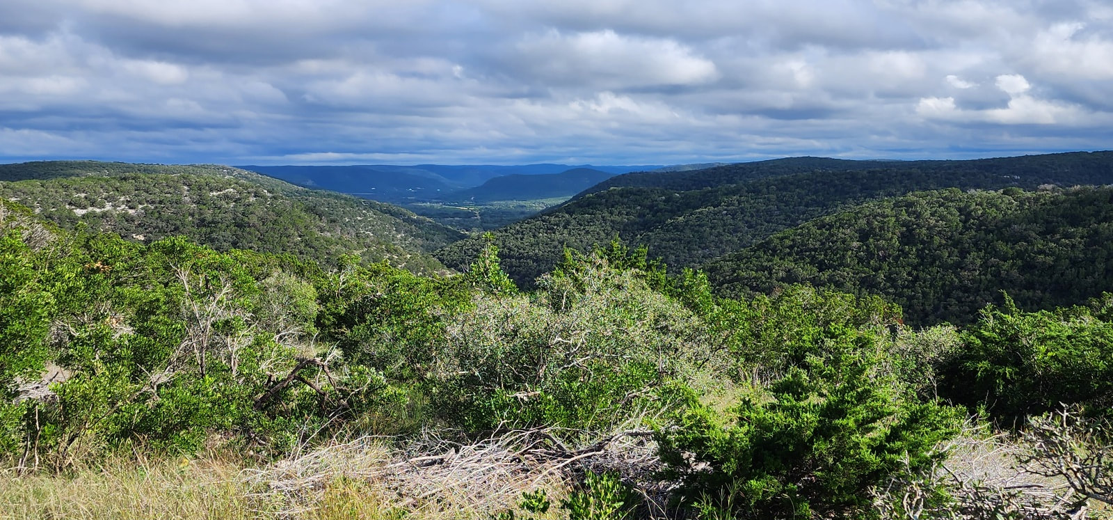 Land & Ranch Realty in Leakey, TX