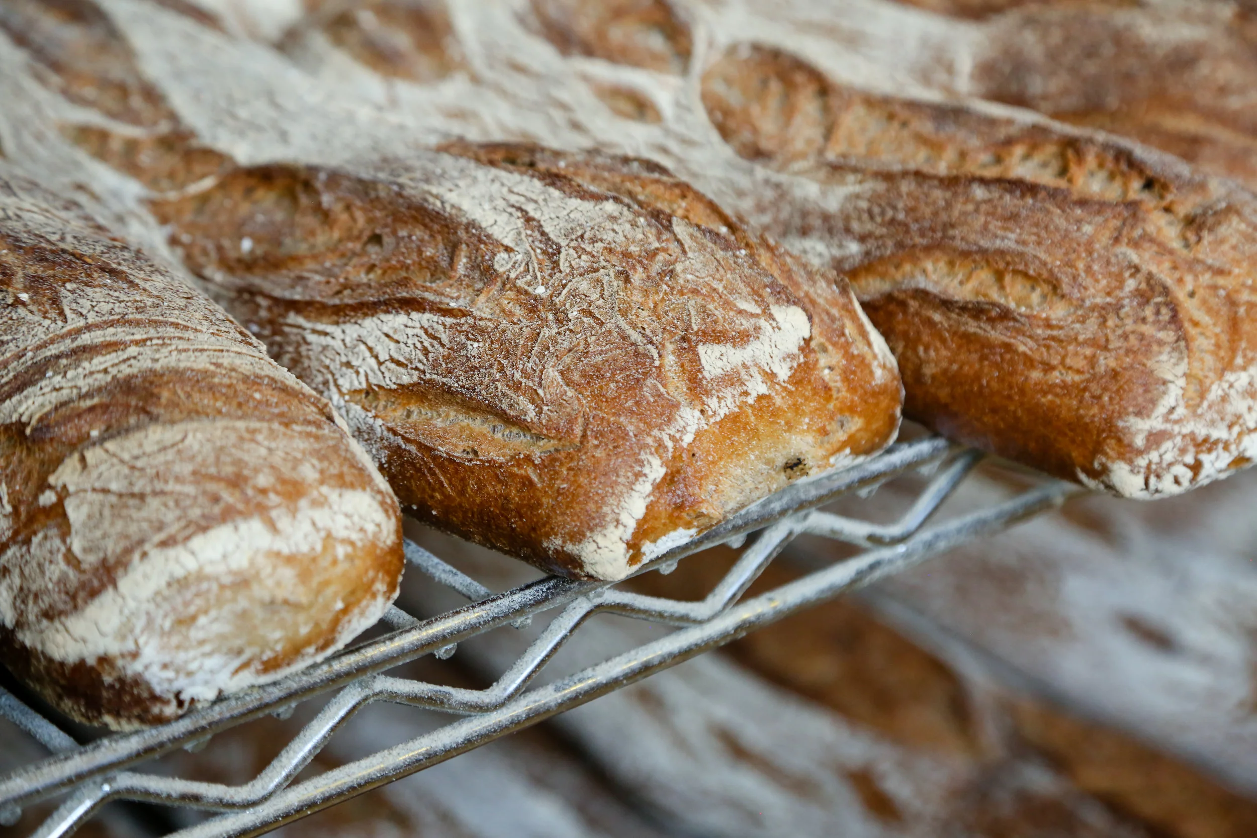 Bellegarde Bakery in New Orleans, LA