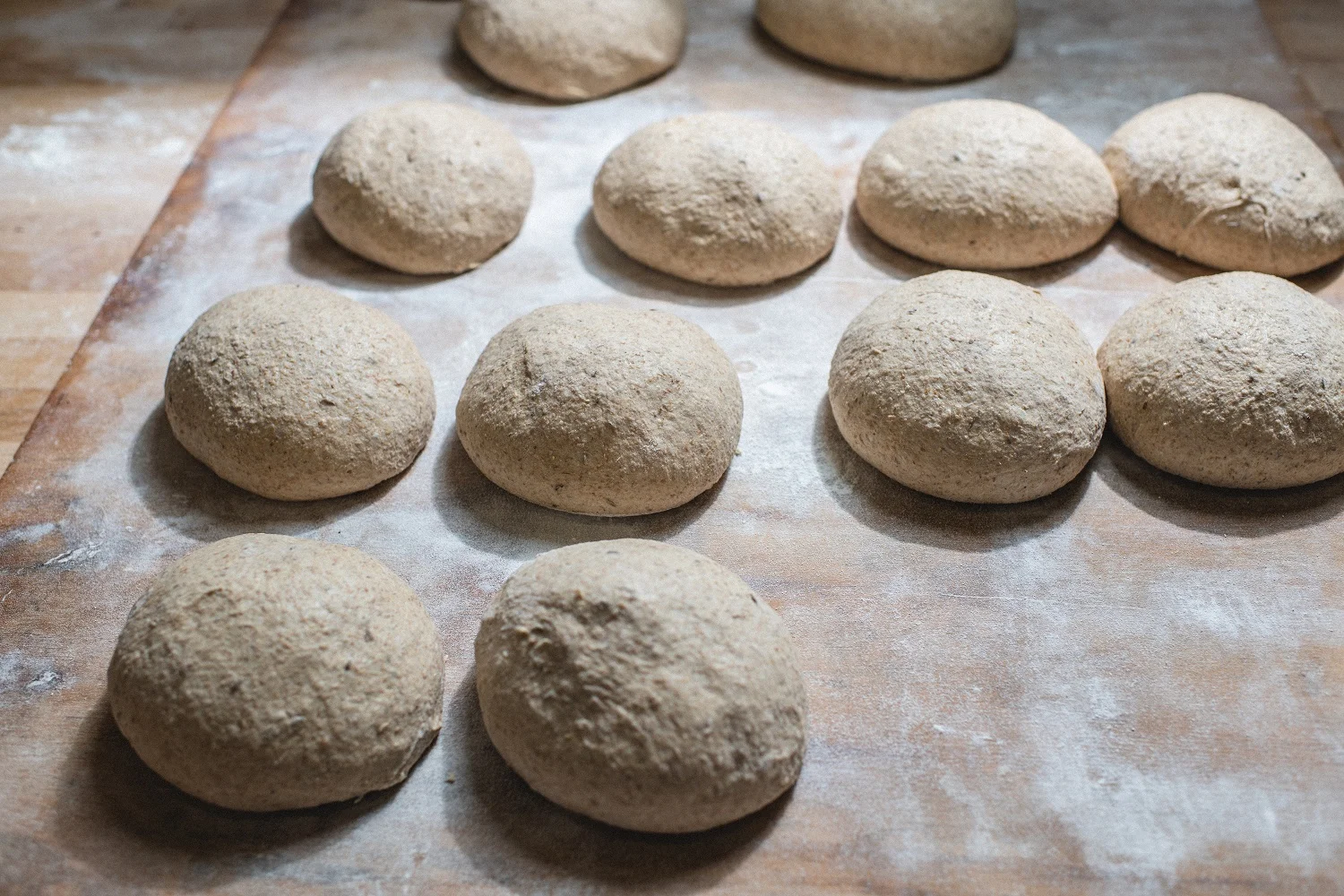 Bellegarde Bakery in New Orleans, LA (2)