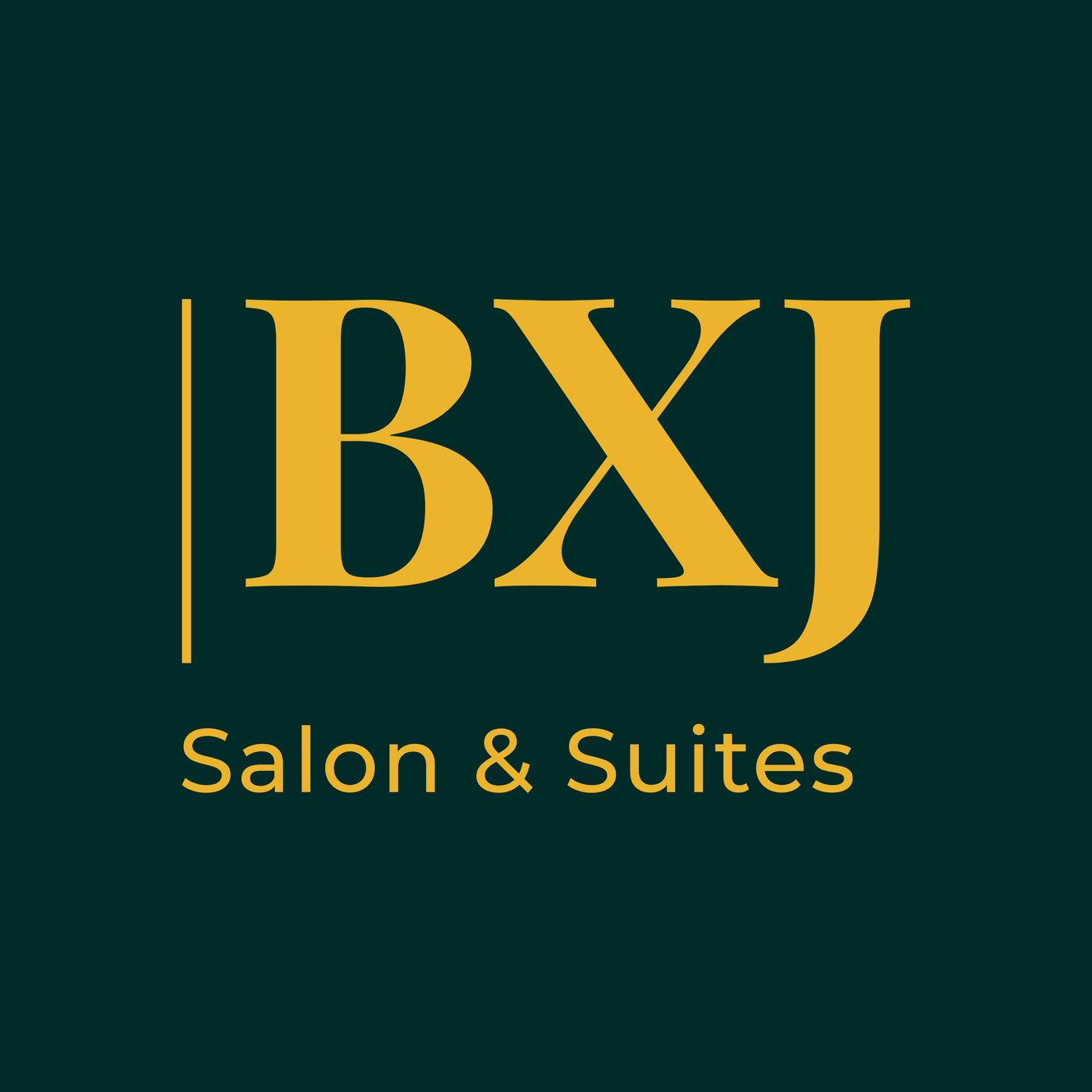 BXJ SALON & SUITES in Roseville, MI