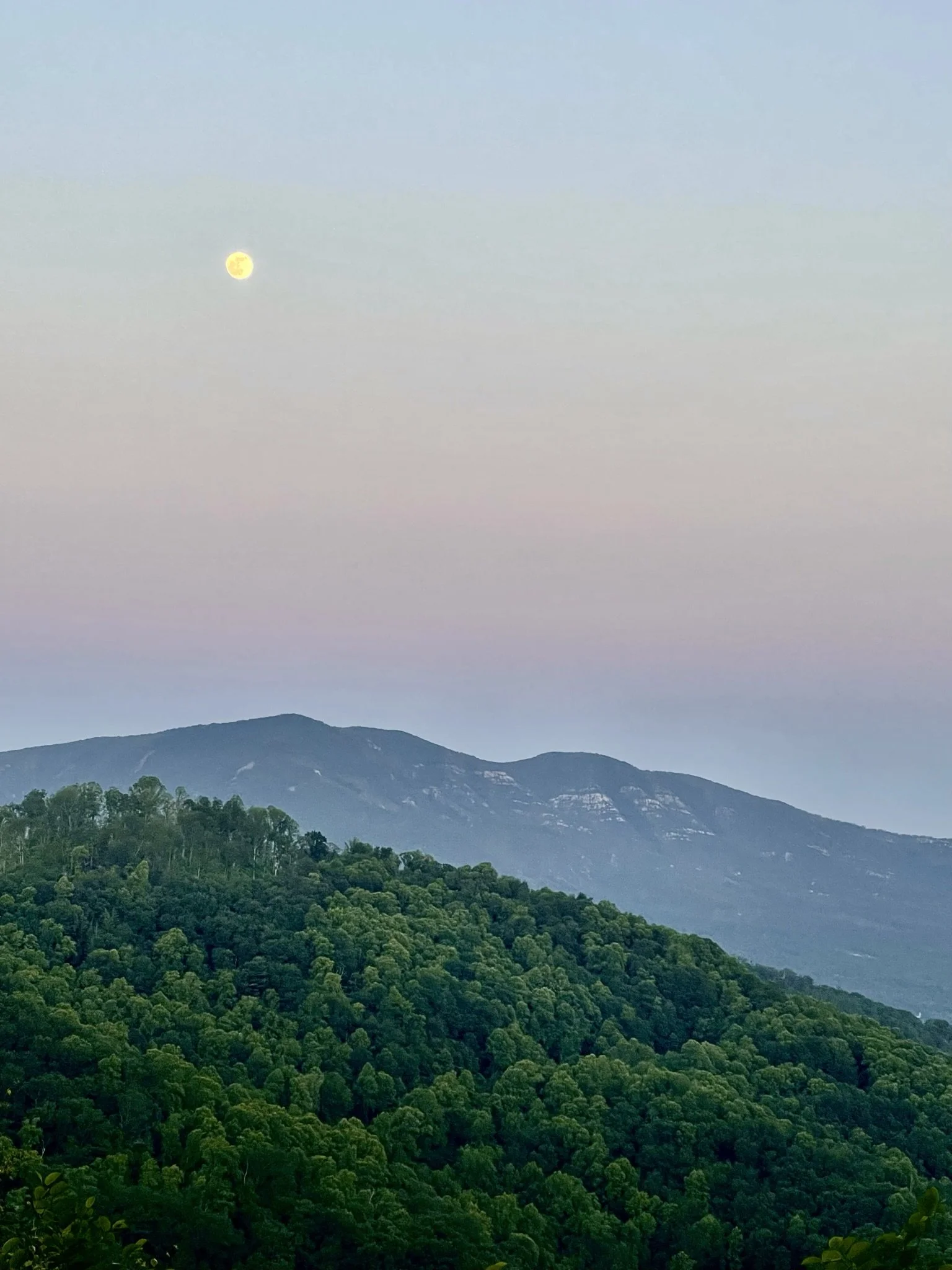 Skyline Restaurant & Bar in Spruce Pine, NC (2)