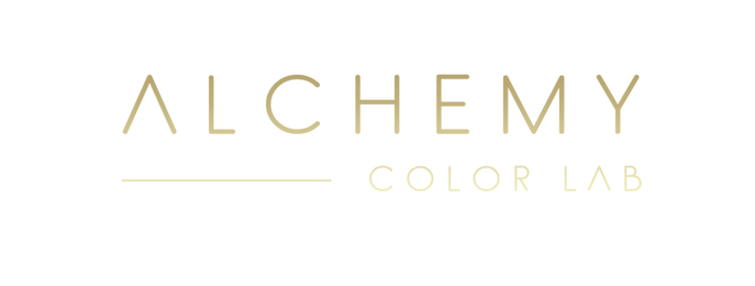 Alchemy Color Lab Salon & Spa in Madison Heights, MI (5)