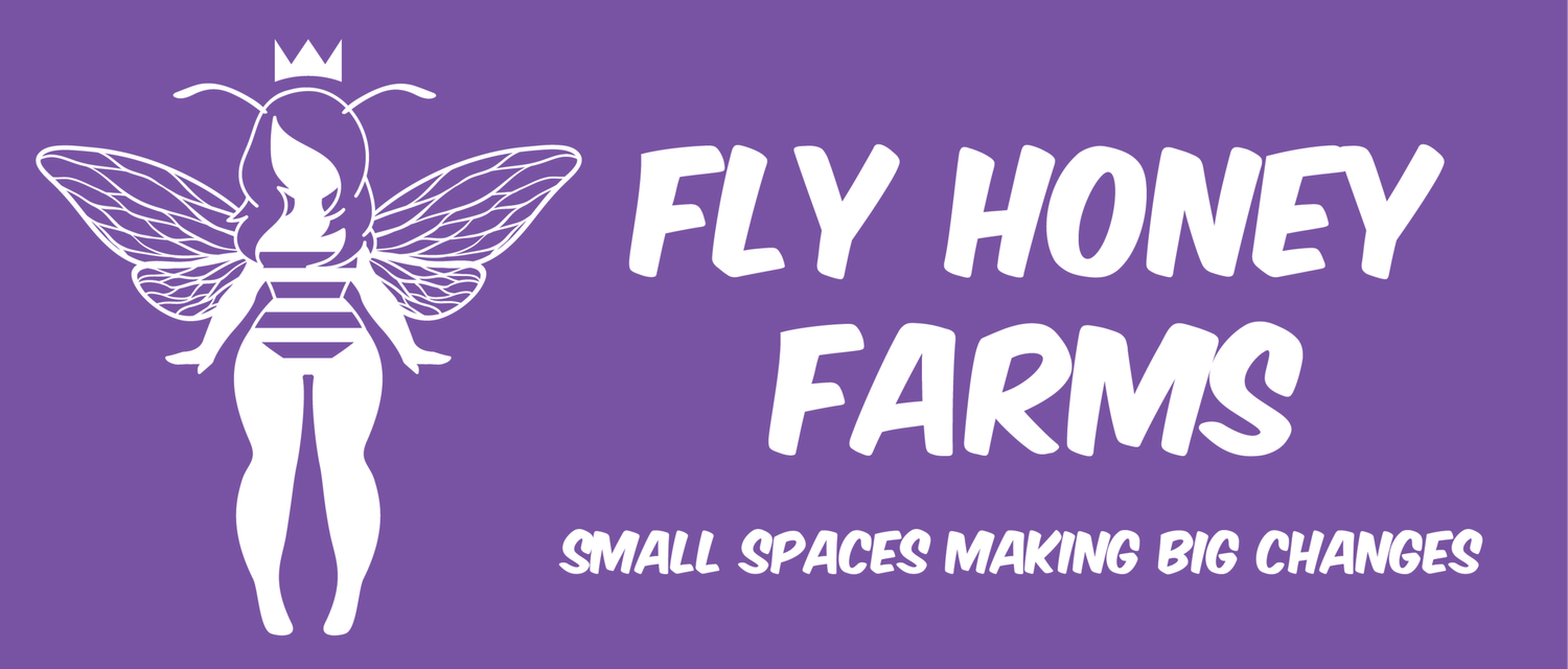Fly Honey Farms in Tarrytown, NY (2)