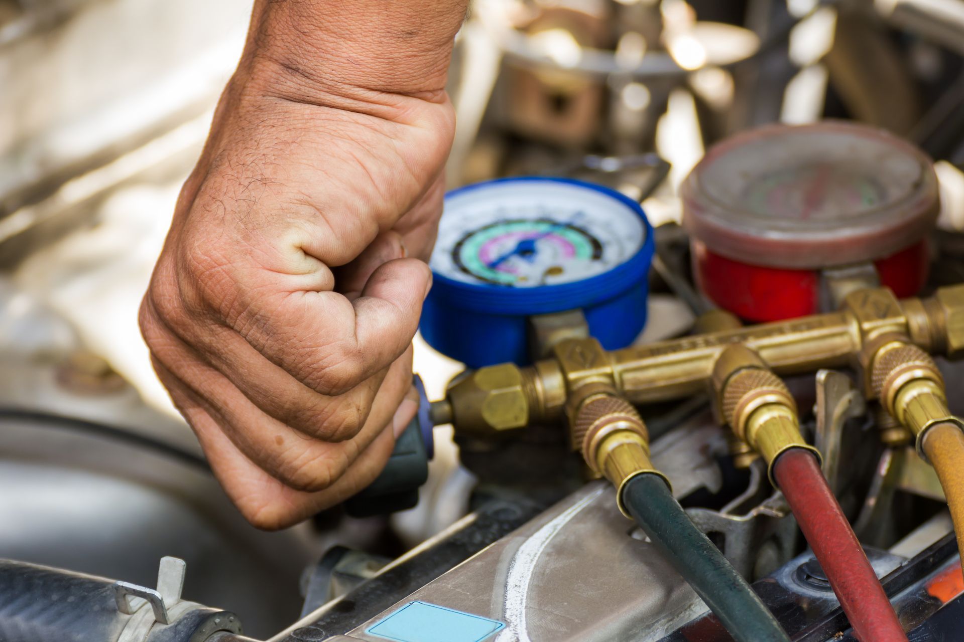 Anything Auto Repair in Reddick, FL (4)