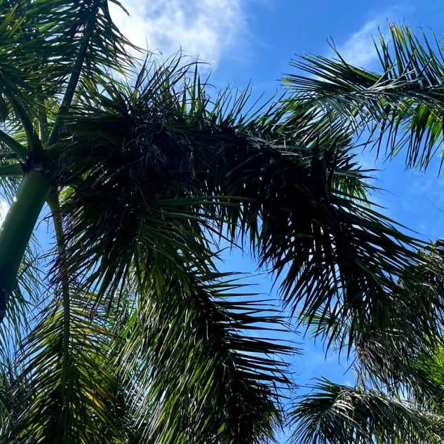 Melanie Holaway, Sanibel-Captiva Realtor in Sanibel, FL (5)