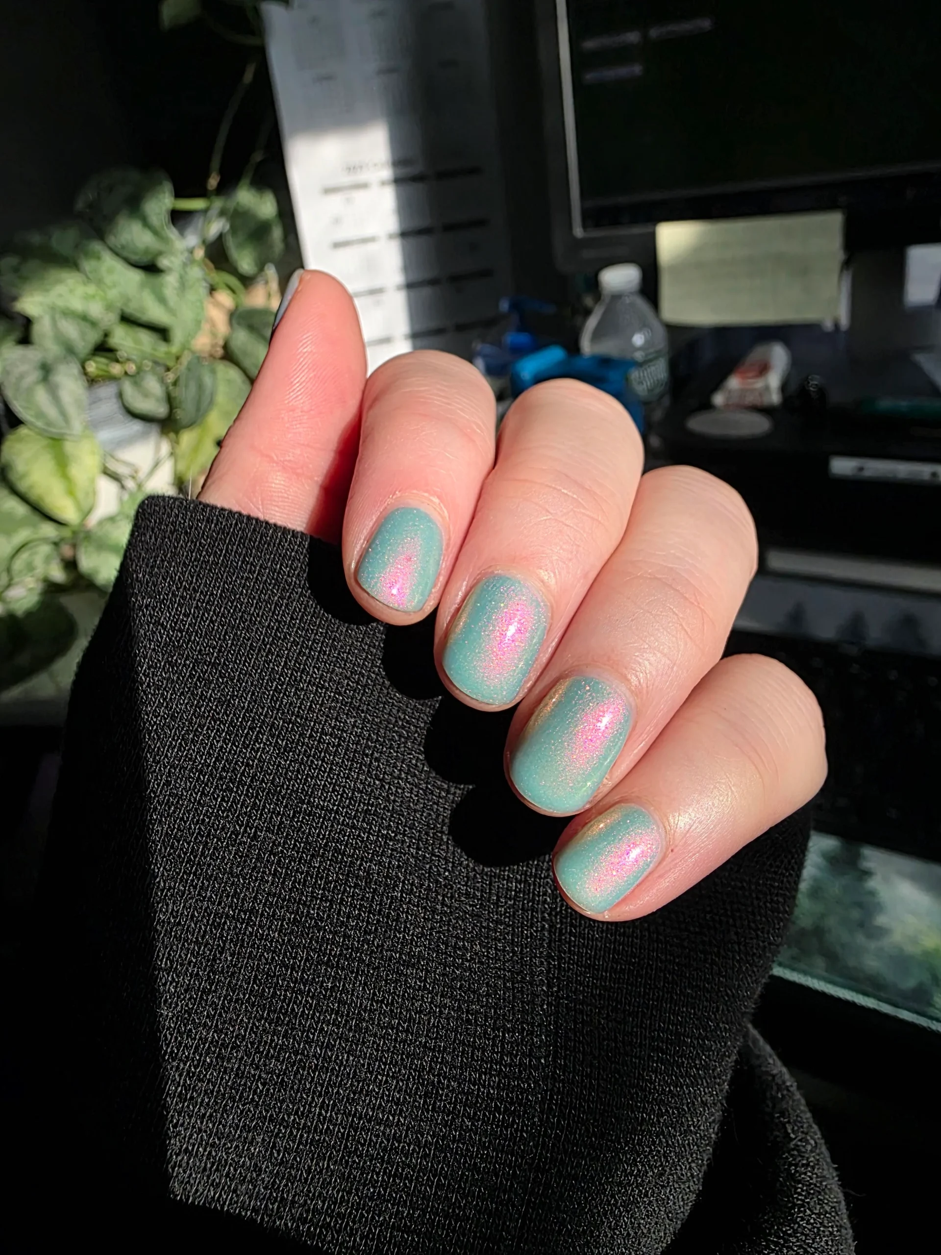 Angel Nails in Wesley Chapel, FL (3)