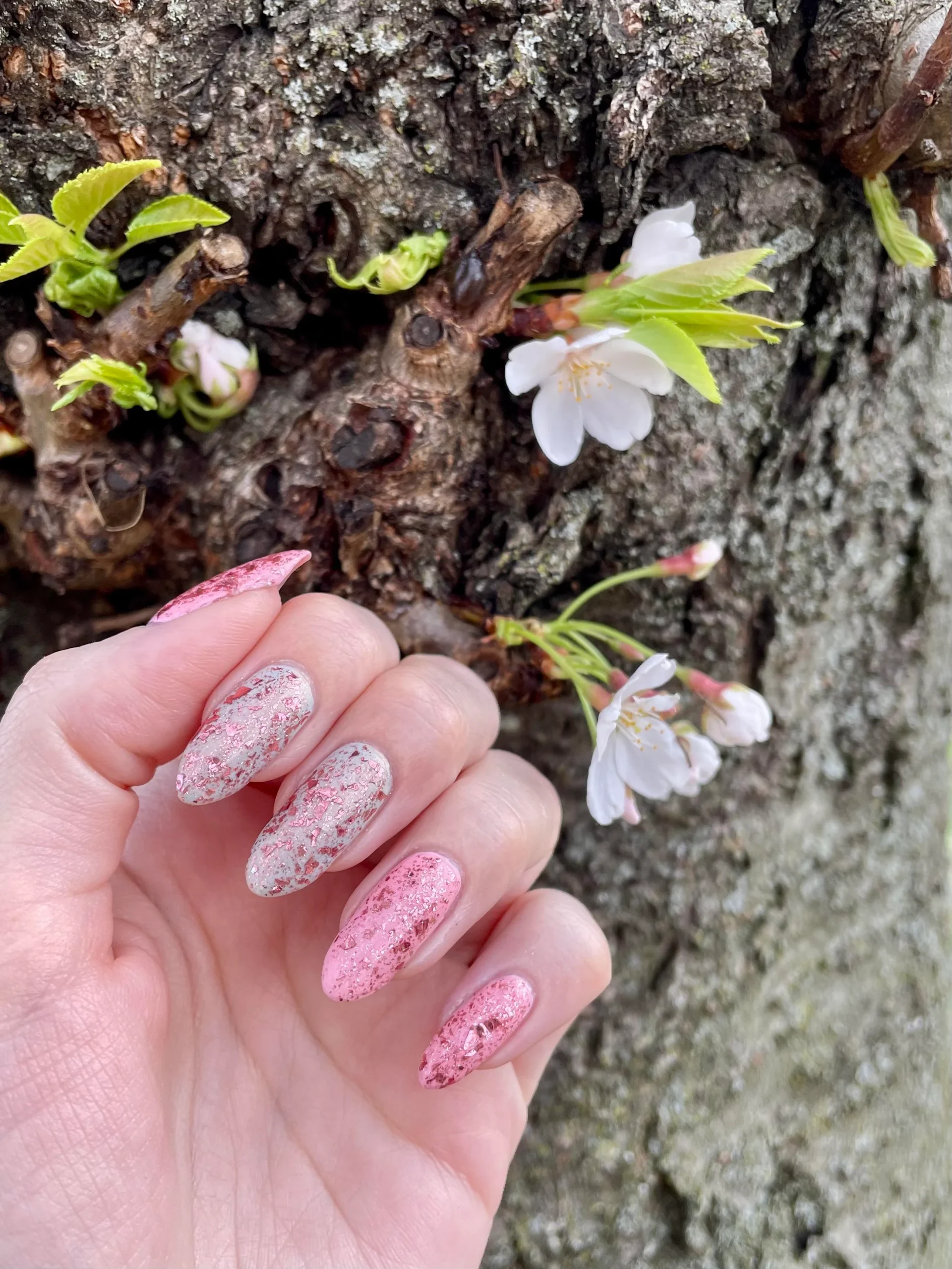 Angel Nails in Wesley Chapel, FL (5)