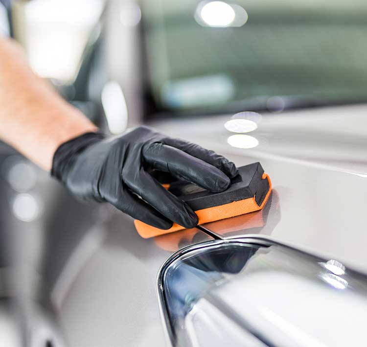 Absolute Perfection Mobile Detailing,LLC. in Lakewood Ranch, FL (6)