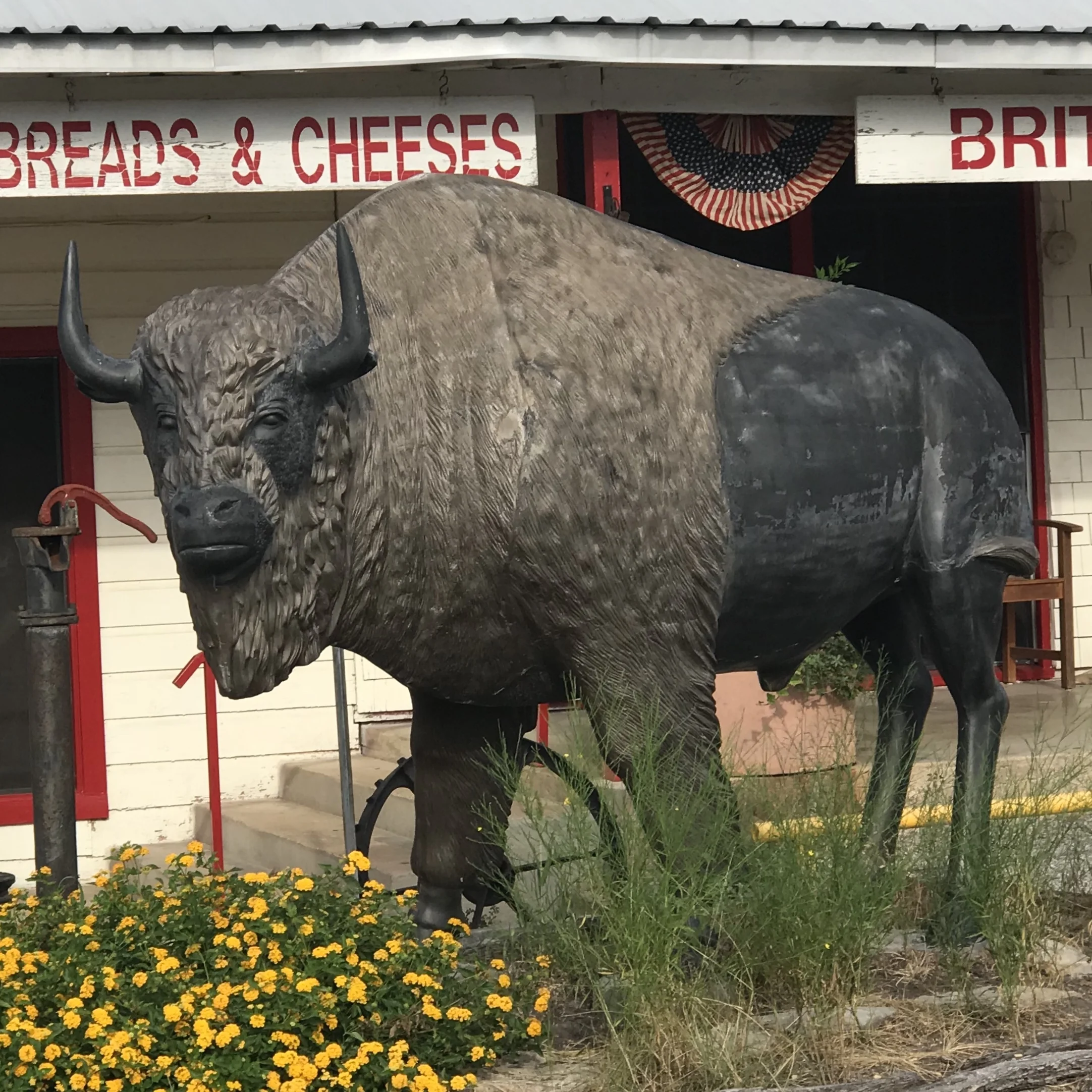 Dutchman's Hidden Valley in Hamilton, TX (2)