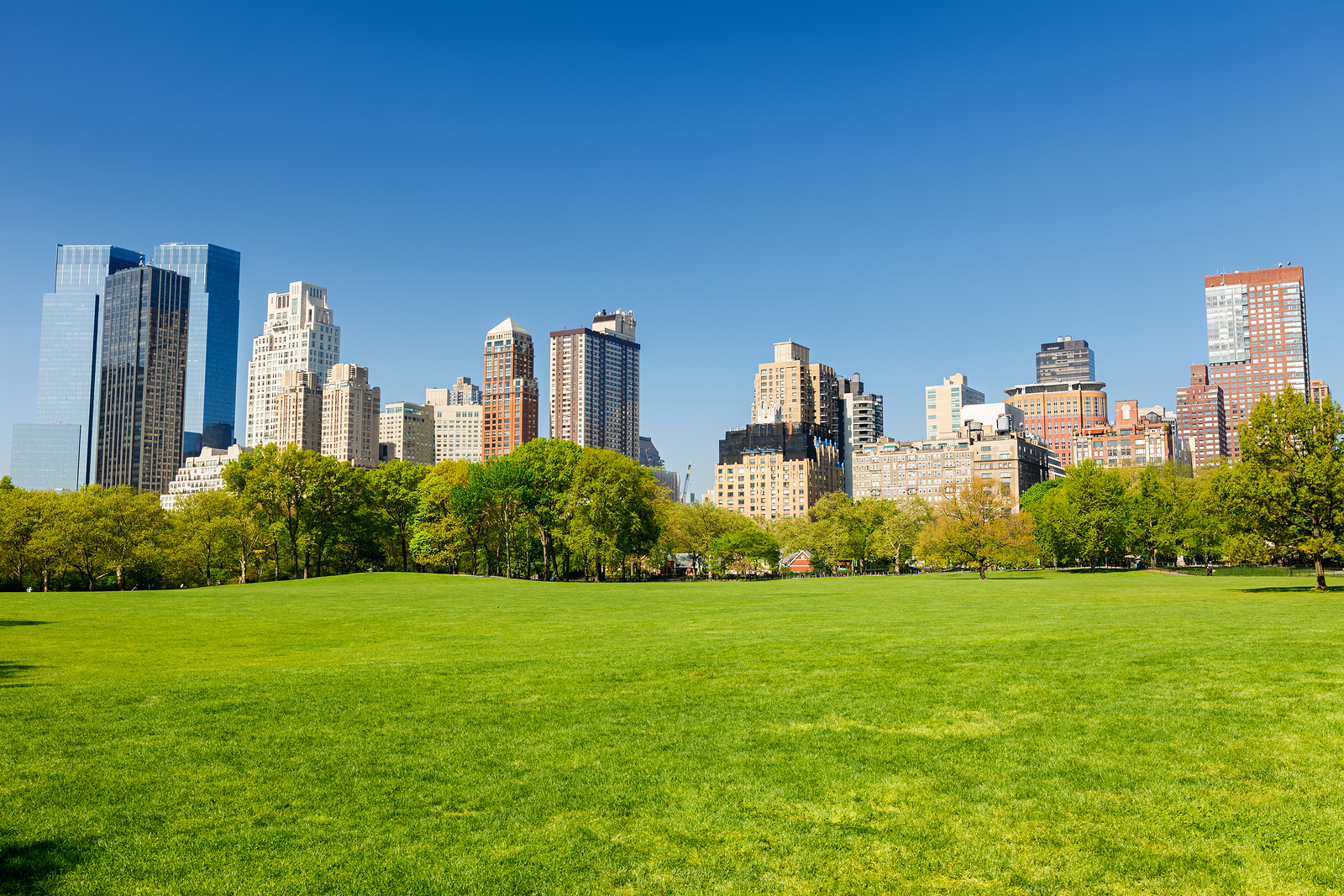Littman Krooks LLP in Rye Brook, NY