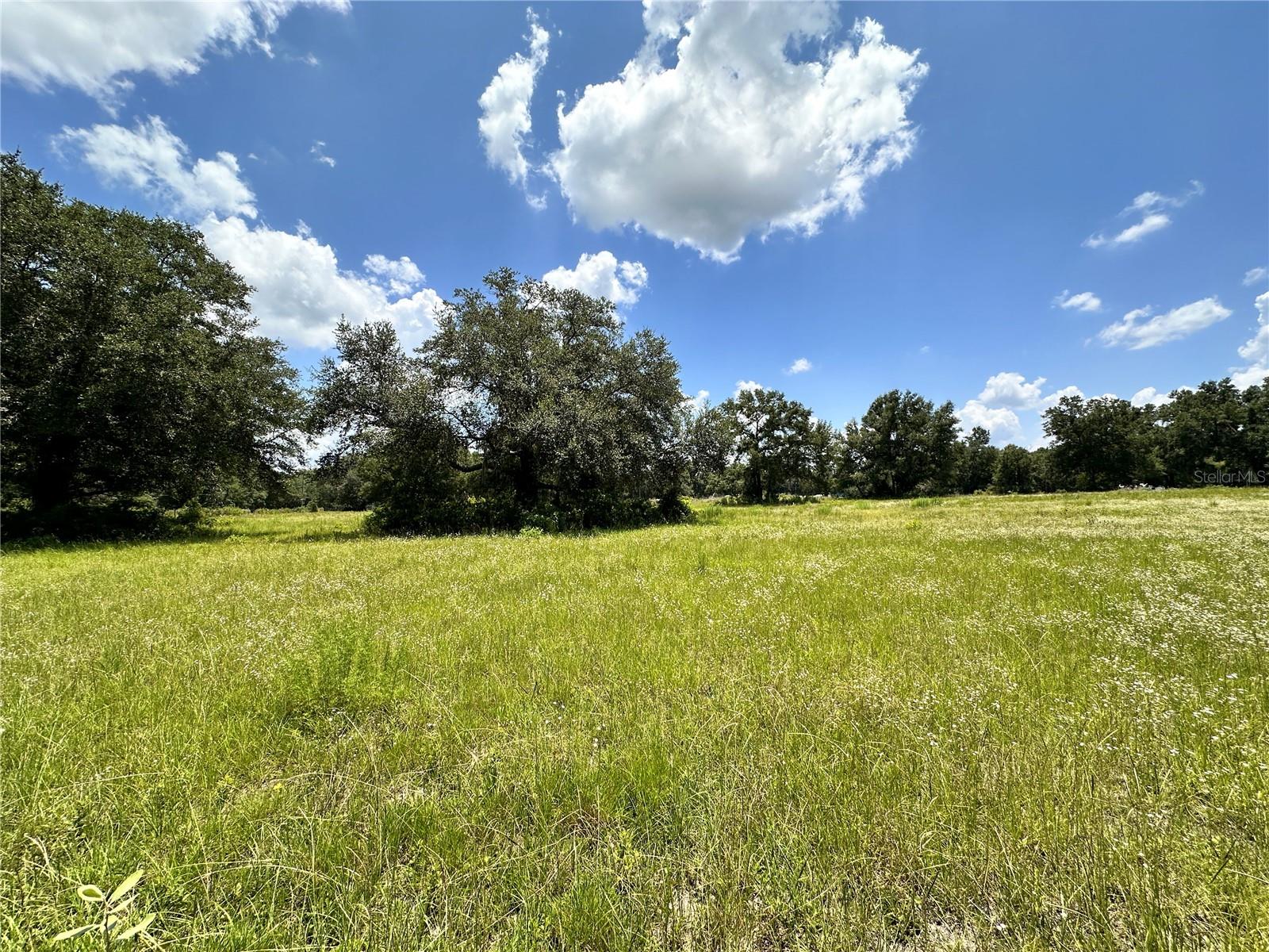 𝐒𝐭𝐞𝐩𝐡𝐚𝐧𝐢𝐞 𝐀𝐯𝐢𝐥𝐞𝐬 | 𝐃𝐚𝐯𝐞𝐧𝐩𝐨𝐫𝐭, 𝐅𝐋 𝐑𝐞𝐚𝐥𝐭𝐨𝐫® in Davenport, FL (3)