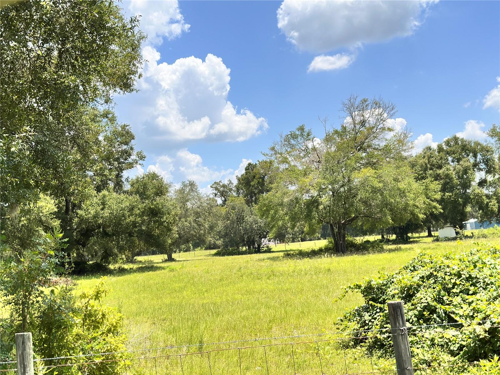 𝐒𝐭𝐞𝐩𝐡𝐚𝐧𝐢𝐞 𝐀𝐯𝐢𝐥𝐞𝐬 | 𝐃𝐚𝐯𝐞𝐧𝐩𝐨𝐫𝐭, 𝐅𝐋 𝐑𝐞𝐚𝐥𝐭𝐨𝐫® in Davenport, FL (5)