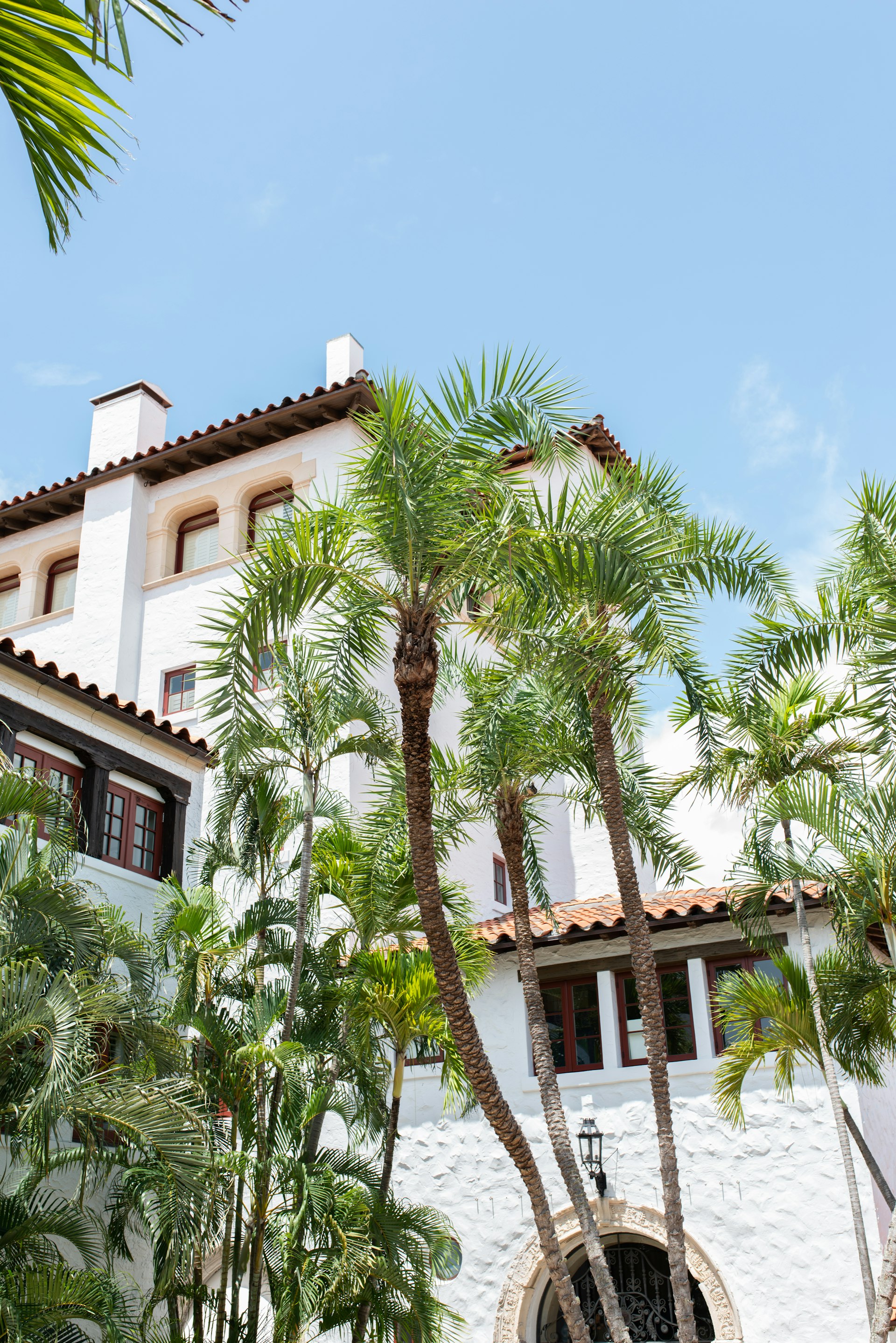 Ilona Chkliarouk LLC in Palm Beach, FL (2)