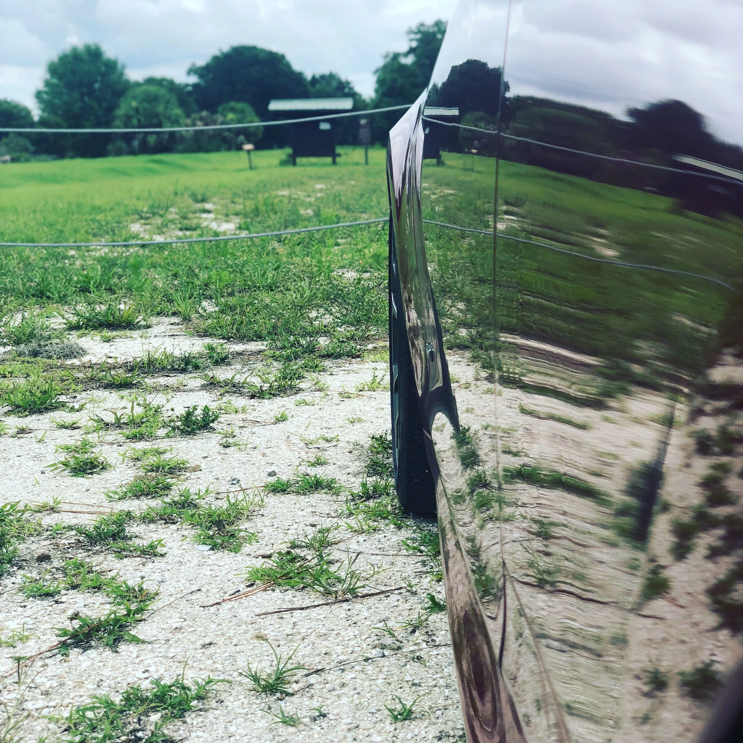 Apex Mobile Detailing & Ceramic Coatings, LLC in Riverview, FL (5)